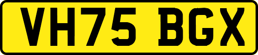 VH75BGX