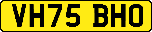 VH75BHO