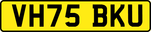 VH75BKU