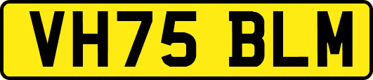 VH75BLM