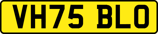 VH75BLO