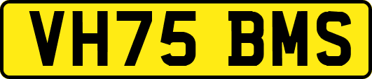 VH75BMS