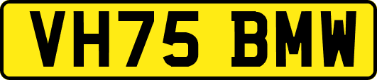 VH75BMW