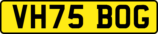 VH75BOG