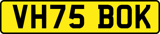 VH75BOK