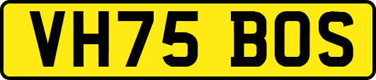 VH75BOS