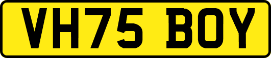 VH75BOY