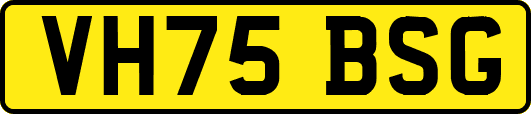 VH75BSG