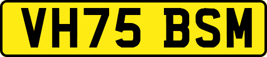VH75BSM