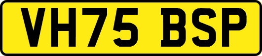 VH75BSP