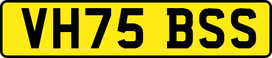 VH75BSS