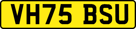 VH75BSU