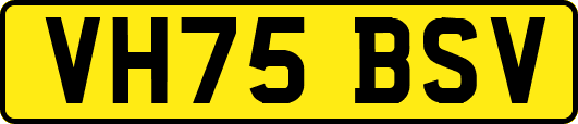 VH75BSV