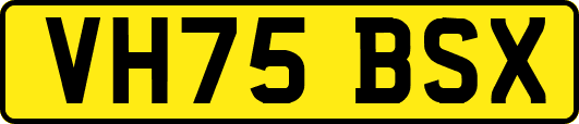VH75BSX