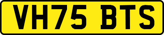 VH75BTS