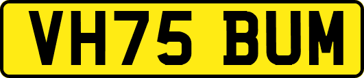 VH75BUM