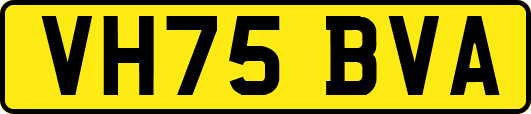 VH75BVA