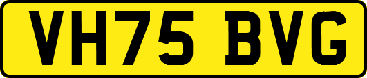 VH75BVG