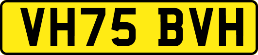 VH75BVH