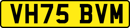 VH75BVM