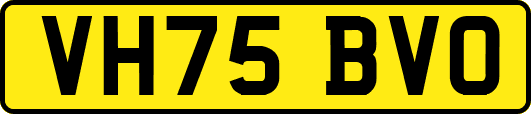 VH75BVO