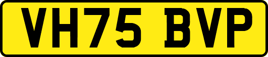VH75BVP