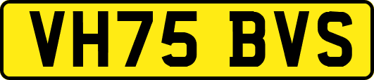 VH75BVS