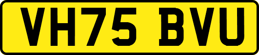 VH75BVU