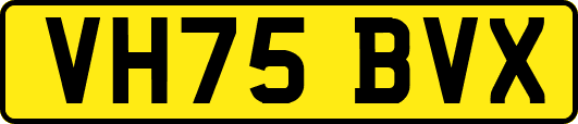 VH75BVX