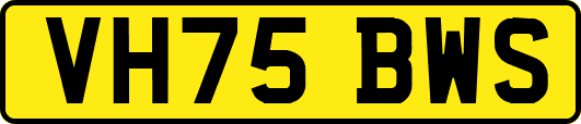 VH75BWS