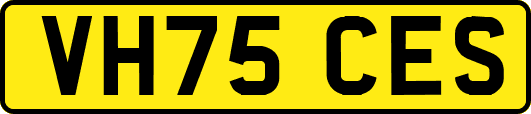VH75CES