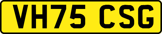 VH75CSG