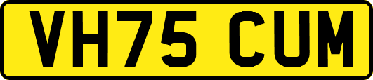 VH75CUM