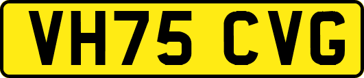 VH75CVG