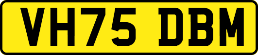 VH75DBM