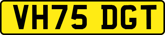 VH75DGT