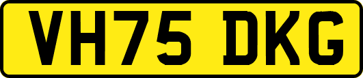 VH75DKG