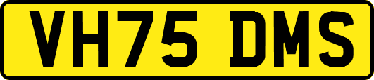 VH75DMS