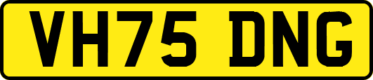 VH75DNG