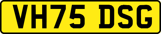 VH75DSG