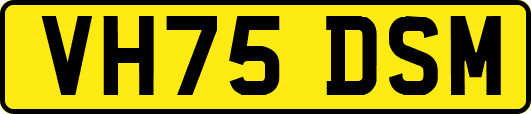 VH75DSM