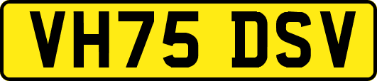VH75DSV