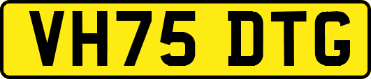 VH75DTG