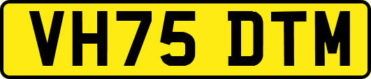 VH75DTM