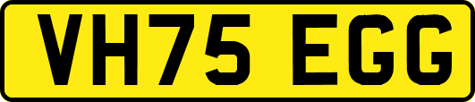 VH75EGG