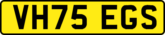 VH75EGS