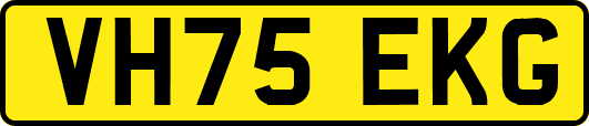 VH75EKG