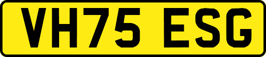 VH75ESG