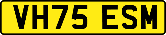 VH75ESM