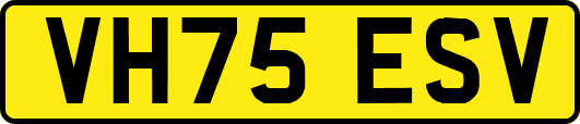 VH75ESV